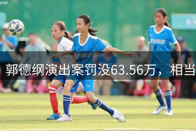 郭德纲演出案罚没63.56万，相当于武汉文旅此前全年罚没收入的一半